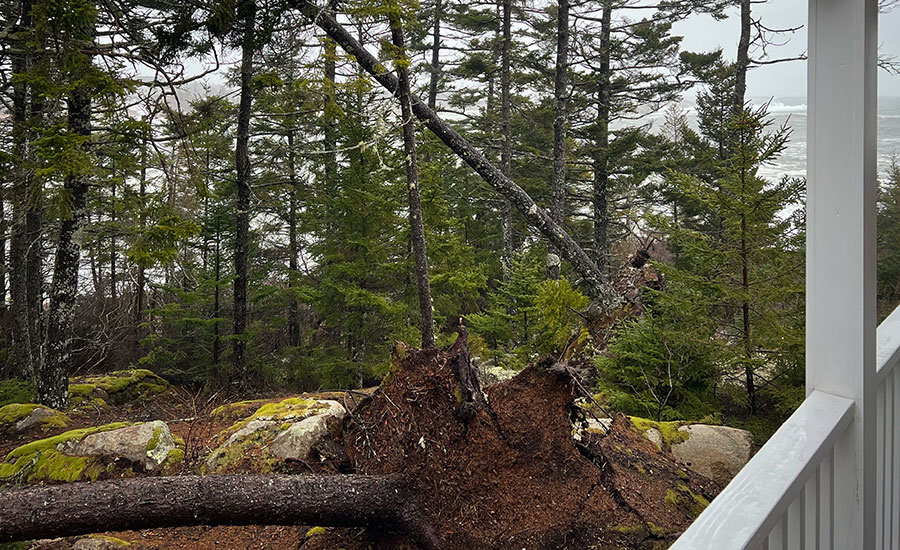The toppled on Matinicus Island