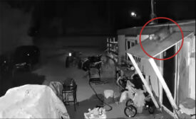 A cougar was caught on CCTV skulking about the roof of a house in Idaho (pictured).