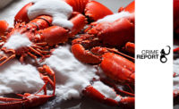 A picture of a lobster surrounded by a white powdery substance.