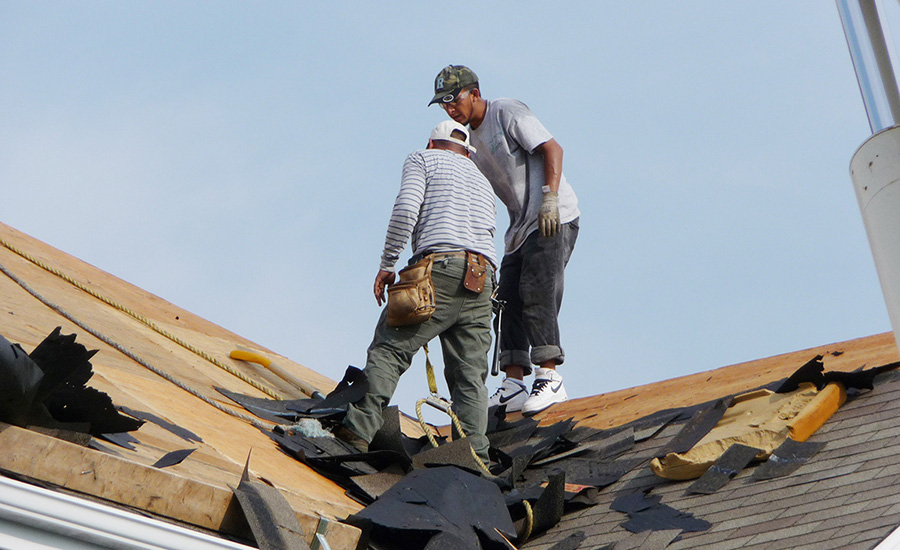 Roofers standing on a roof (pictured).