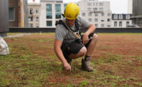 A man in a hard hat examines a garden roof