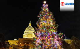 The Christmas Tree outside the White House was sponsored by 84 Lumber.