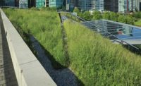 vegetative roofs