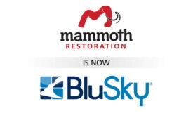 BluSky_Merger_Mammoth-01-768x640.jpg